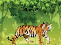 Hra Rozzúrený tiger farbenie online