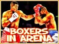 Hra Boxeri v aréne online