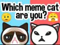 Hra Ktorý meme mačka si? online