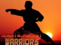 Hra Karate Západní Slnka Vojaci online