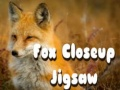 Hra Puzzel Lišiak zblízka online