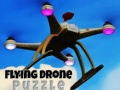 Hra Lietajúca Dronová Hádanka online