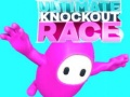 Hra Ultimátna Knockout Závod online