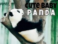Hra Roztomilá panda na bábu online