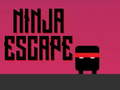 Hra Ninja útek online