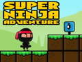 Hra Super Dobrodružný Ninja online