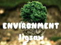 Hra Enviro Puzzel online