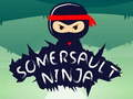 Hra Ninja Prevrat online