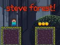 Hra Steveho les online