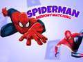 Hra Pamäť Spidermana online