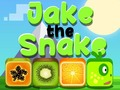 Hra Jake Had online