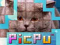 Hra PicPu Mačka online