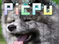 Hra PicPu Pes online