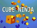 Hra Kockový Ninja online