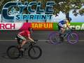 Hra Cyklistický sprinter online