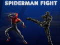 Hra Spider-Man boj online