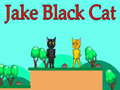 Hra Jake Čierna Mačka online