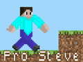 Hra Pro Steve online