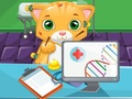 Hra Mačka Doktor online