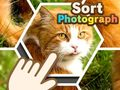 Hra Triediť fotografie online