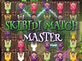 Hra Skibidi Match Majster online