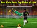 Hra Skutočný Svetový Pohár vo Futbale Flicker 3D 2023 online