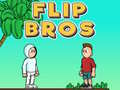 Hra Flip Bratia online