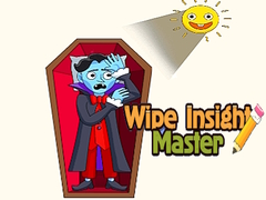 Hra Majster čistenia pohľadu online