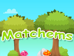 Hra Matchems online