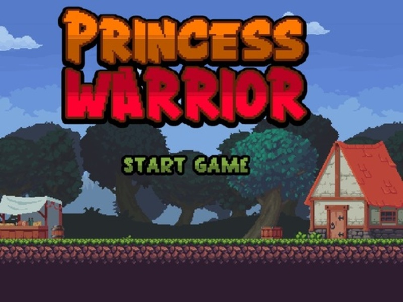 Hra Princezná bojovník online