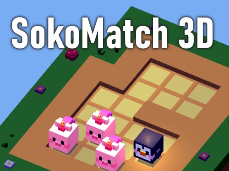 Hra Sokomatch 3D online